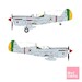 Brazilian Silver P40M/N Warhawk SO314448