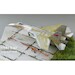 P42 Steak Flanker SO314456