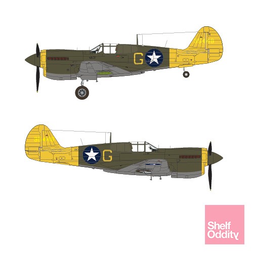 USAAF Training P-40M/N's SO314462