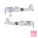 Comonwealth Reisens (A6M Zero's) SO31449