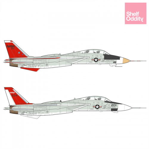 F14A Tomcat (VSTFE, NASA)  SO31442