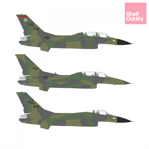 F16 Fighting falcon (USAF in Euro 1 Lizard Camouflage)  SO314426