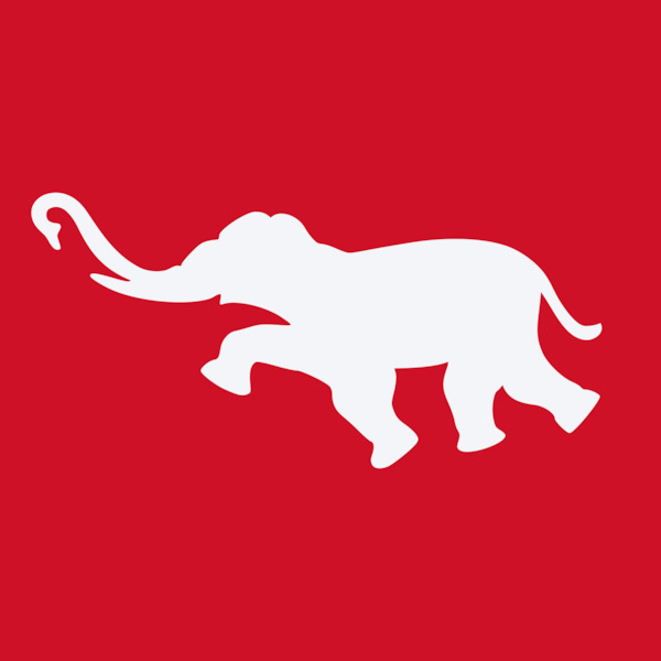 Royal Thai Air Force Elephant Markings WW2 (Back in stock) SIAM-AF-2