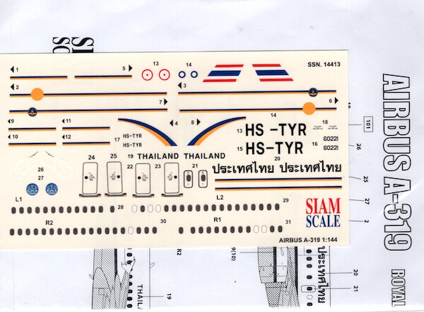 Airbus A319 (Royal Thai Air Force) SSN14413
