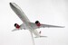 Airbus A350-1000 Virgin Atlantic G-VXWB  SKR1012
