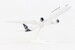 Boeing 787-9 Lufthansa D-ABPA SKR1096