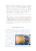Super Mirage 4000, the unfulfilled dream, The Super Mirage 4000 as told by its engineers and pilots mirage 4000