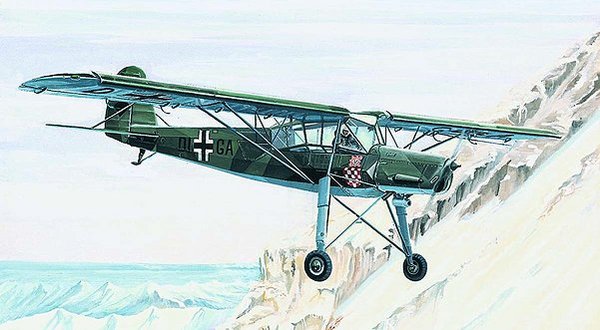 Fieseler Fi156c Storch  0833