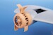 Heinkel He115B BMW132 engines (Special Hobby) P48025