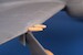 Tempest Mk.V Early Gun Barrels (Airfix) P72009