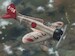 Mitsubishi A5M2b Claude "Over China" SH32034