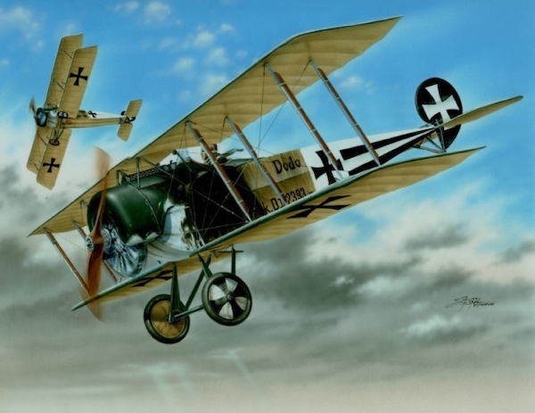 Fokker DII "black & white tails" sh48038