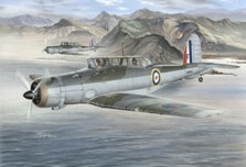 Blackburn Skua MKII "Norwegian Campaign" (REISSUE) SH48046