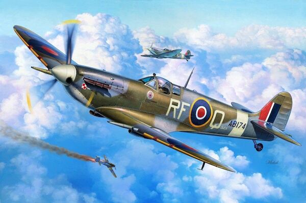 Spitfire Mk.VC 'Overseas Jockeys'  sh48195