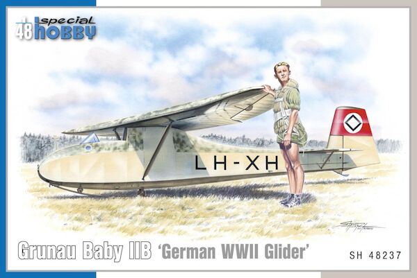 Grunau Baby IIB 'German WWII Glider' SH48237