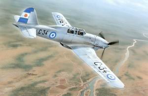 Fiat G55B "Double Seat Trainer" sh72104
