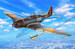 Douglas DB8A/3N 'Outnumbered and Fearless' SH72465