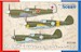 Curtiss P-40M Warhawk 'Involuntarily from Russia to Finland SH72486