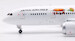 Boeing 787-8 Dreamliner JAL Japan Airlines "Studio Ghibli" JA828J  L2026