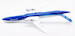Boeing 787-10 Dreamliner Boeing House Color N528ZC  L2040