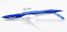 Boeing 787-10 Dreamliner Boeing House Color N528ZC  L2040