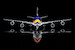 Boeing 747-400D ANA All Nippon Airways "Marine Jumbo" JA8963 L2086