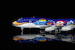 Boeing 747-400D ANA All Nippon Airways "Marine Jumbo" JA8963 L2086
