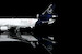 McDonnell Douglas MD11 Lufthansa Cargo "Thank you MD-11, Farewell" D-ALCC Interactive Series  L2104C