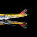 Boeing 747-400D JAL Japan Air Lines No.6 "Dream Story" JA8084  L2111