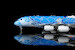 Airbus A380-800 ANA, All Nippon Airways "Flying Honu - Lani Livery" JA381A L2266