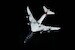 Boeing 747-8 Air Force One United States of America 30000 L2280
