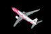 Boeing 737-800 Japan Transocean Air "Sakura Jimbei" JA06RK  L2349