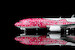 Boeing 737-800 Japan Transocean Air "Sakura Jimbei" JA06RK Flaps Down  L2349FD