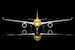 Airbus A350-1000 STARLUX Airlines "Airsorayama Gold" B-58554 Flaps Dow  L2410FD