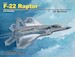 F22 Raptor in Action SQ10223