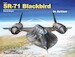 SR71 Blackbird in Action SQ10245