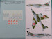 Hawker Hunter F. MK51 1960-1969 (Royal Danish AF) SDC072148