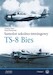 Samolot Szkolno Treningowy TS8 Bies 
