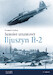 Samolot szturmowy Iljuszyn IL-2 MAXI12
