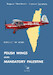 Forging the Wind Polish Wings Over Mandatory Palestine 