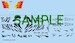 Marchetti SF260 Decalset 3 (Belgian AF Marchettiger ST48) (Special hobby) SAI03