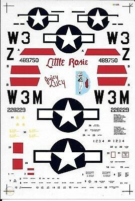 48-589  Republic P47D Thunderbolt Wingmen (313FS/50FG)  48-589