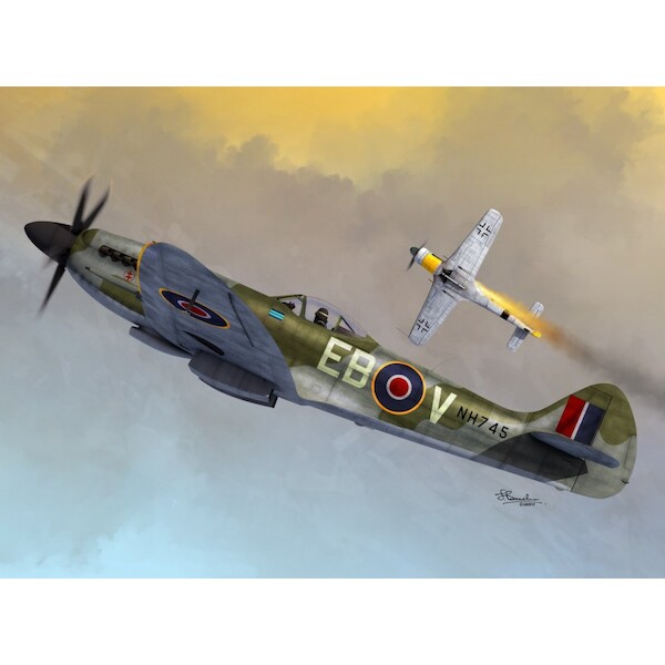 Spitfire Mk.XIVC/E Bubbletop  SW72096