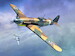 Fiat G55 Srs.1 (2in1) - Co-Belligerent AF (ANR)  (2 kits included) SW72104