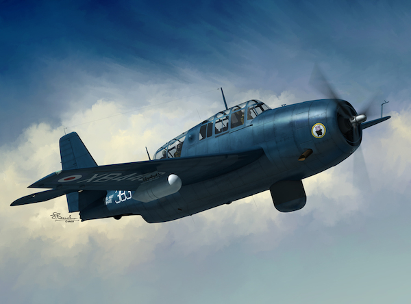 Grumman TBM-3S / Avenger AS.4  (2 markings FAA,RCN)  SW72130