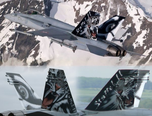 F/A18C Hornet (J-5011 Tigermeet 2011" Staffel 11 Swiss AF)  32-069