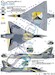 Mirage 2000-5F French AF (2-FN High-viz 50 ans EC2/2 Côte D'or 2000)  48-013