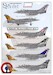 Rafale M "100 years Flottille 11F" 2019 48-125