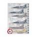 Mirage 2000 Standard - Bklue grey Mirages 48-922