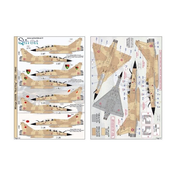 Mirage 2000 Standard - Grey green Mirages 48-923